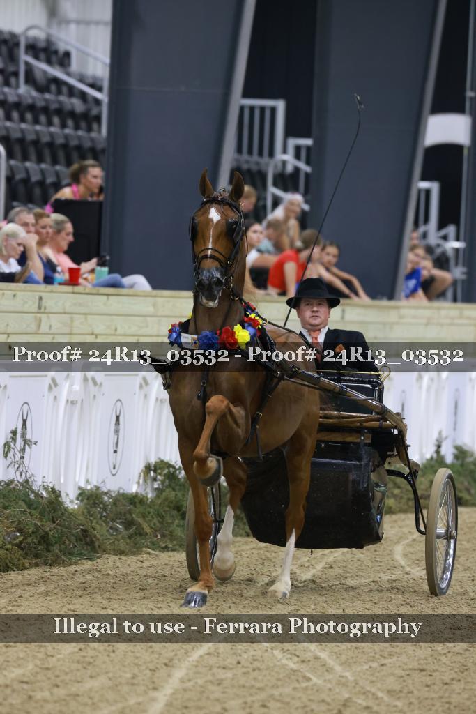 Proof 24R13_03532