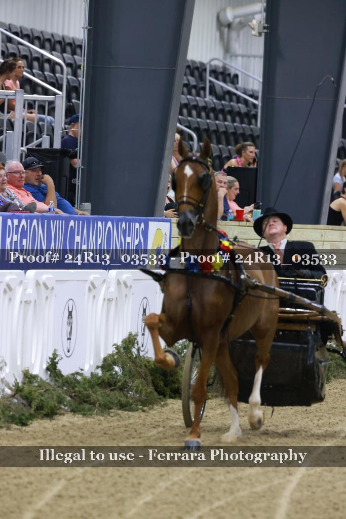 Proof 24R13_03533