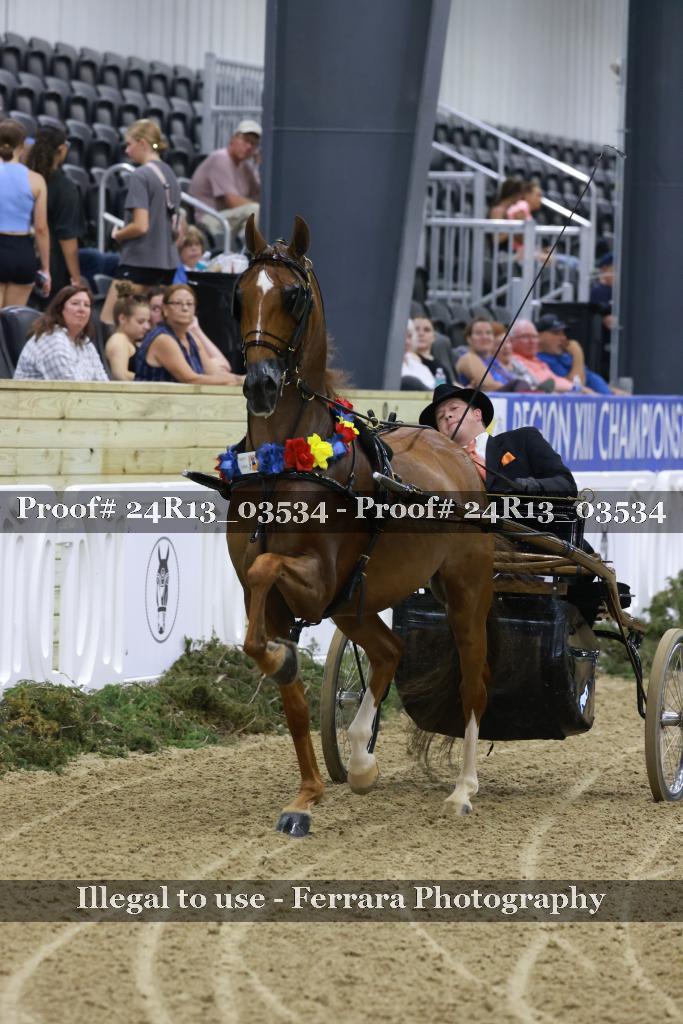 Proof 24R13_03534