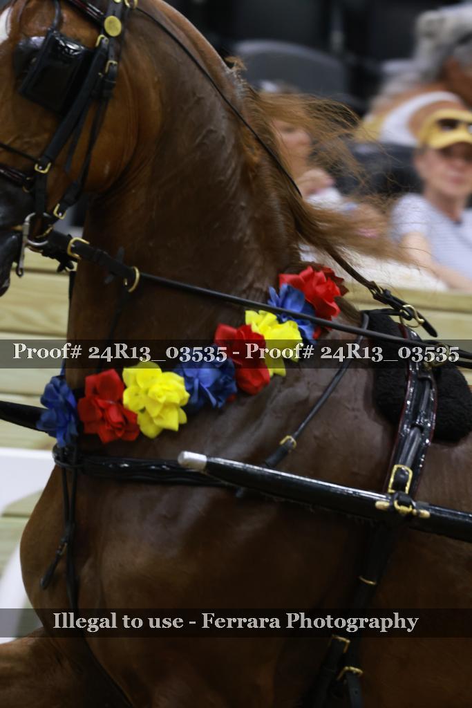 Proof 24R13_03535