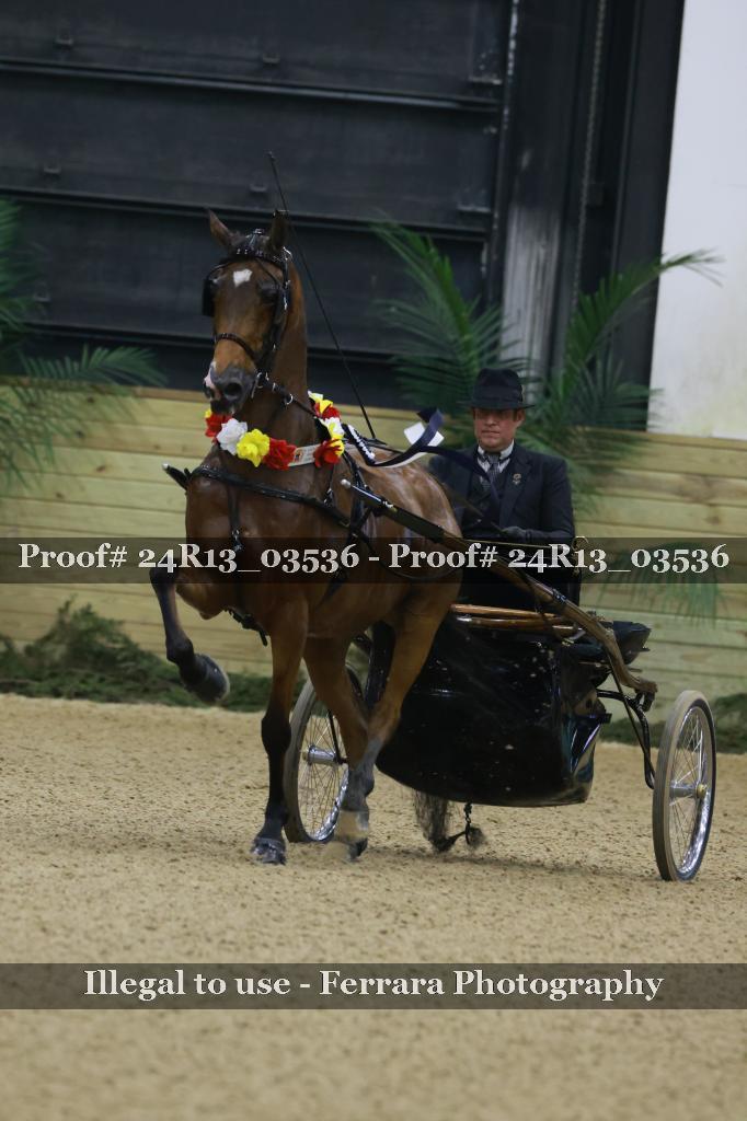 Proof 24R13_03536