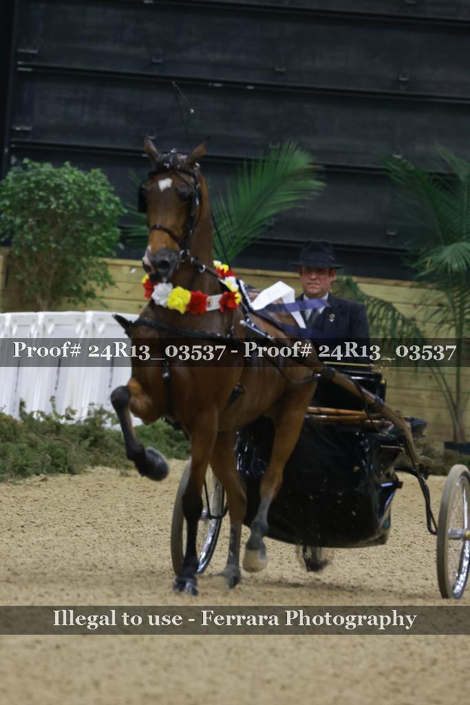 Proof 24R13_03537