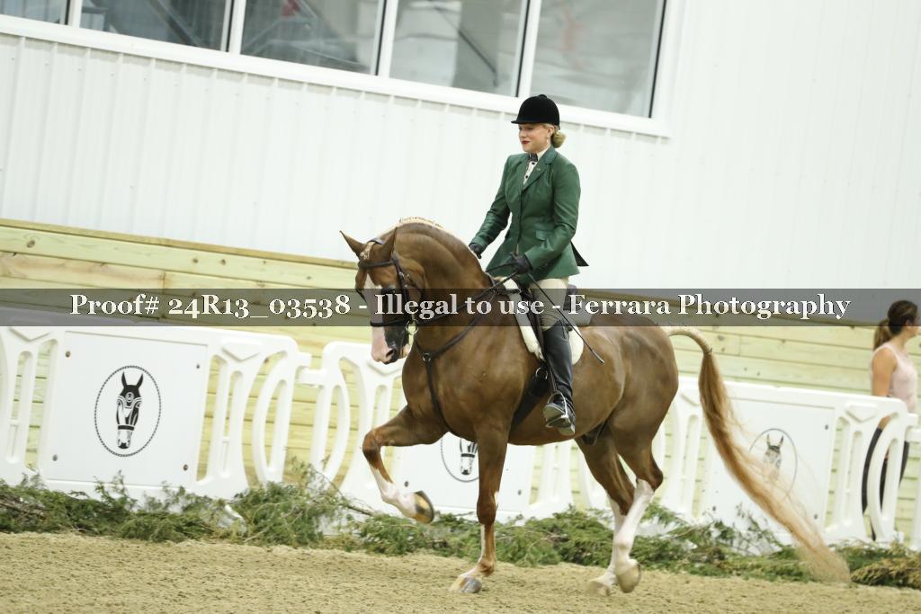 Proof 24R13_03538