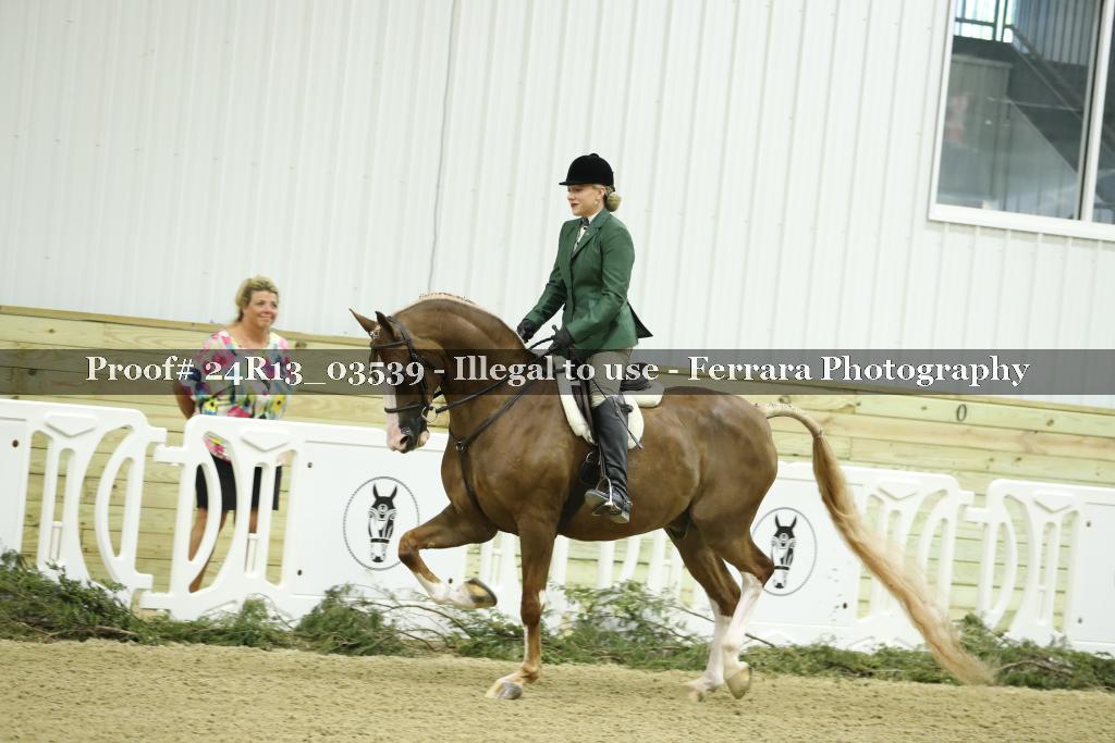 Proof 24R13_03539