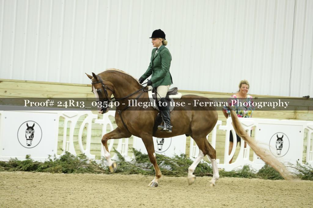 Proof 24R13_03540