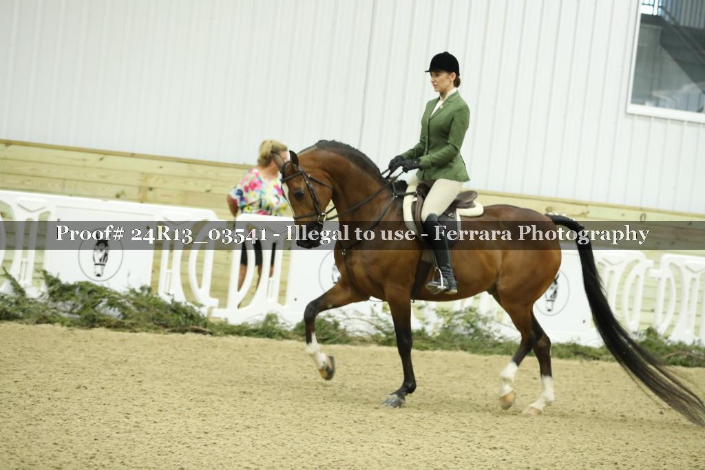Proof 24R13_03541