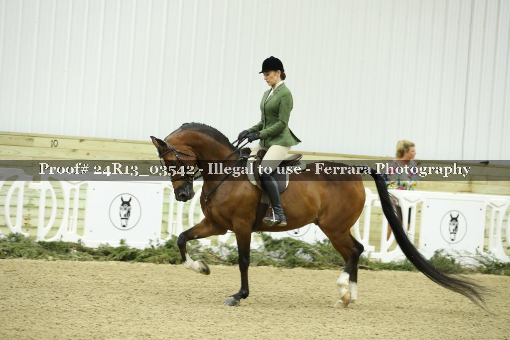 Proof 24R13_03542