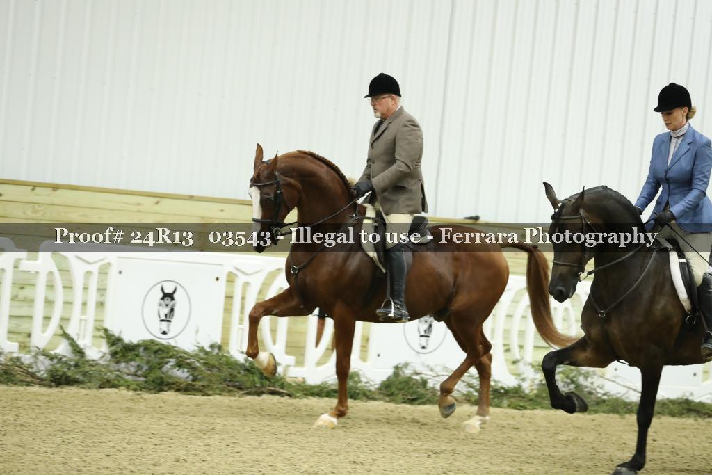Proof 24R13_03543