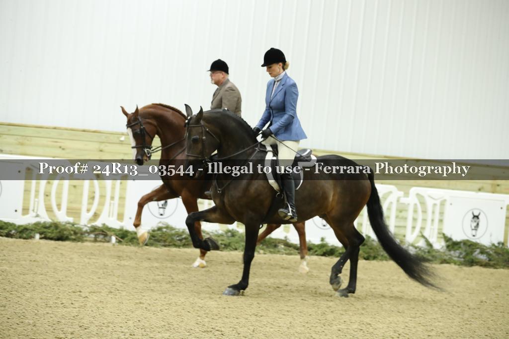 Proof 24R13_03544