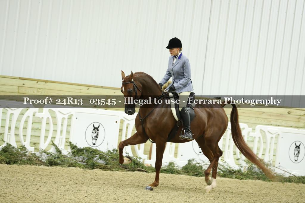 Proof 24R13_03545