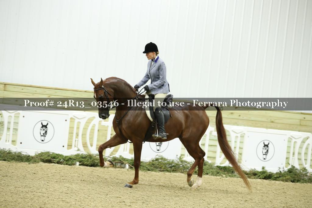 Proof 24R13_03546