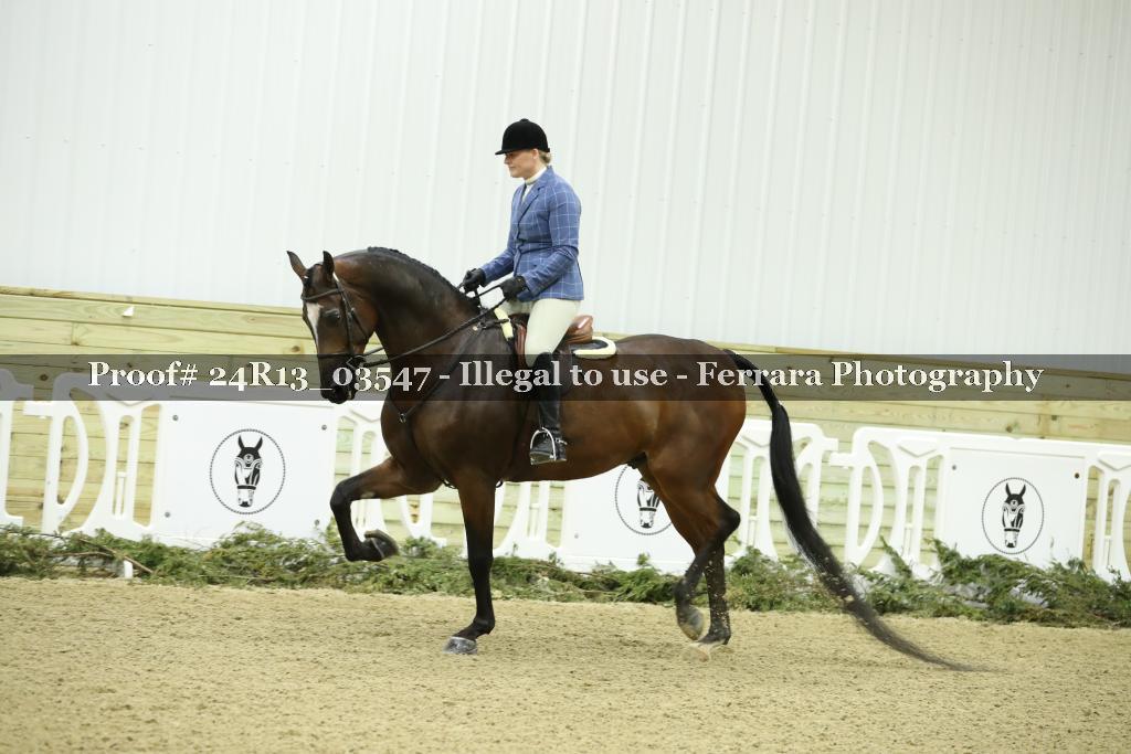 Proof 24R13_03547