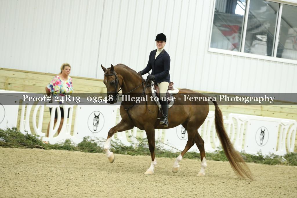 Proof 24R13_03548