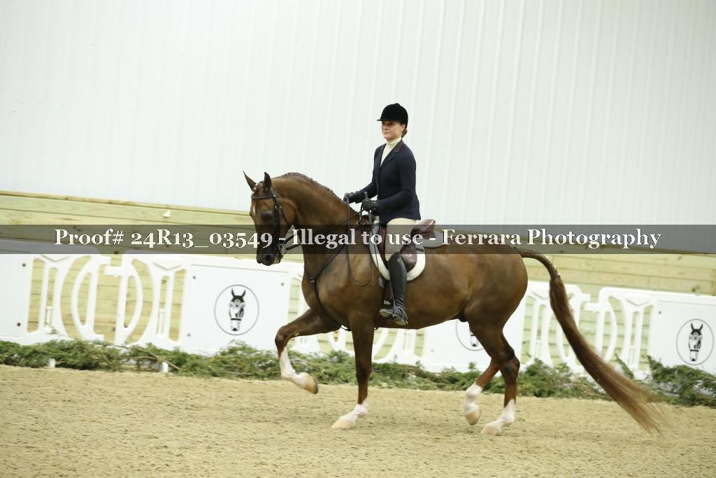 Proof 24R13_03549