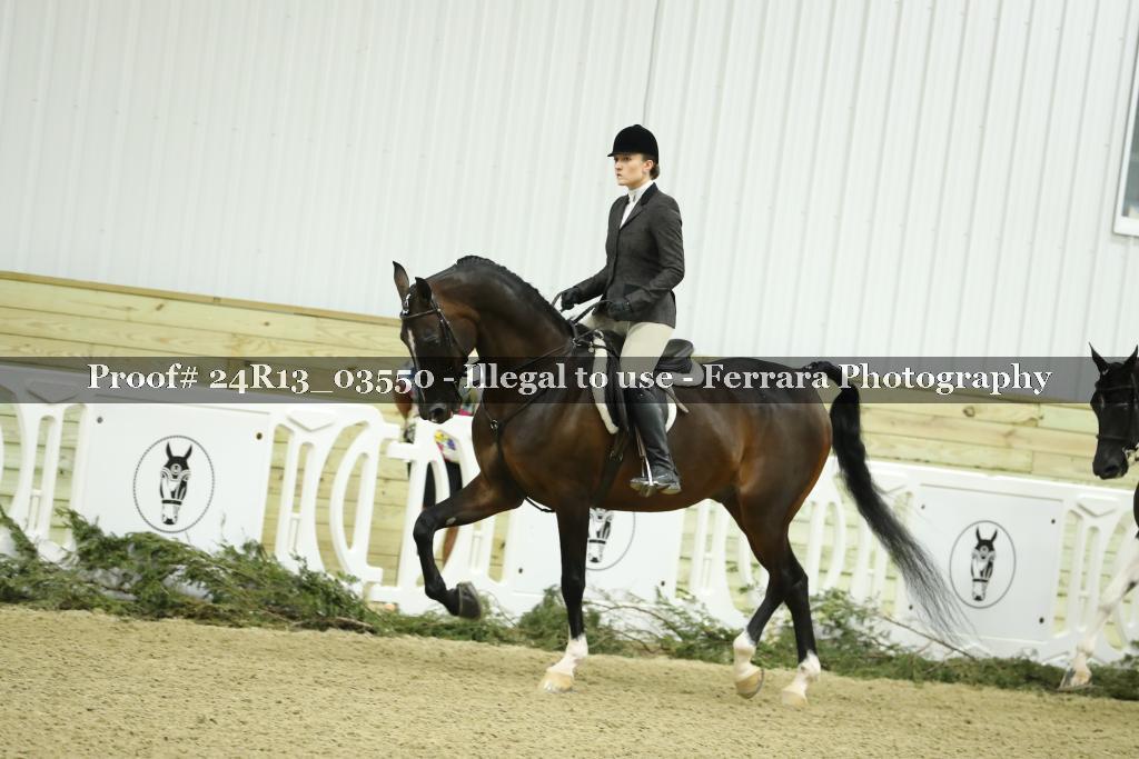 Proof 24R13_03550