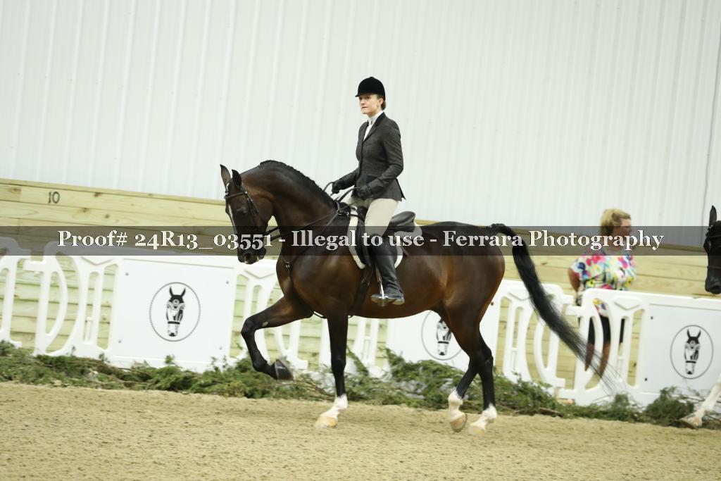 Proof 24R13_03551