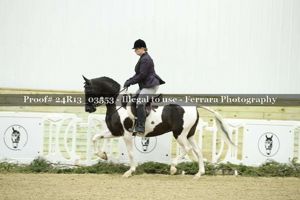 Proof 24R13_03553