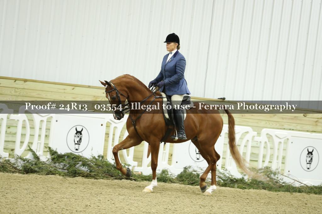 Proof 24R13_03554