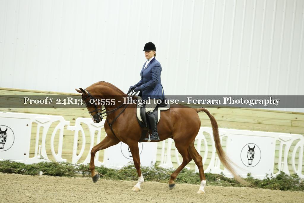 Proof 24R13_03555