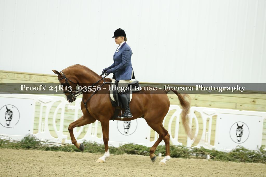 Proof 24R13_03556