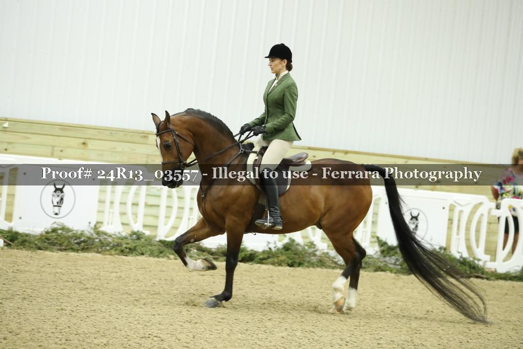 Proof 24R13_03557