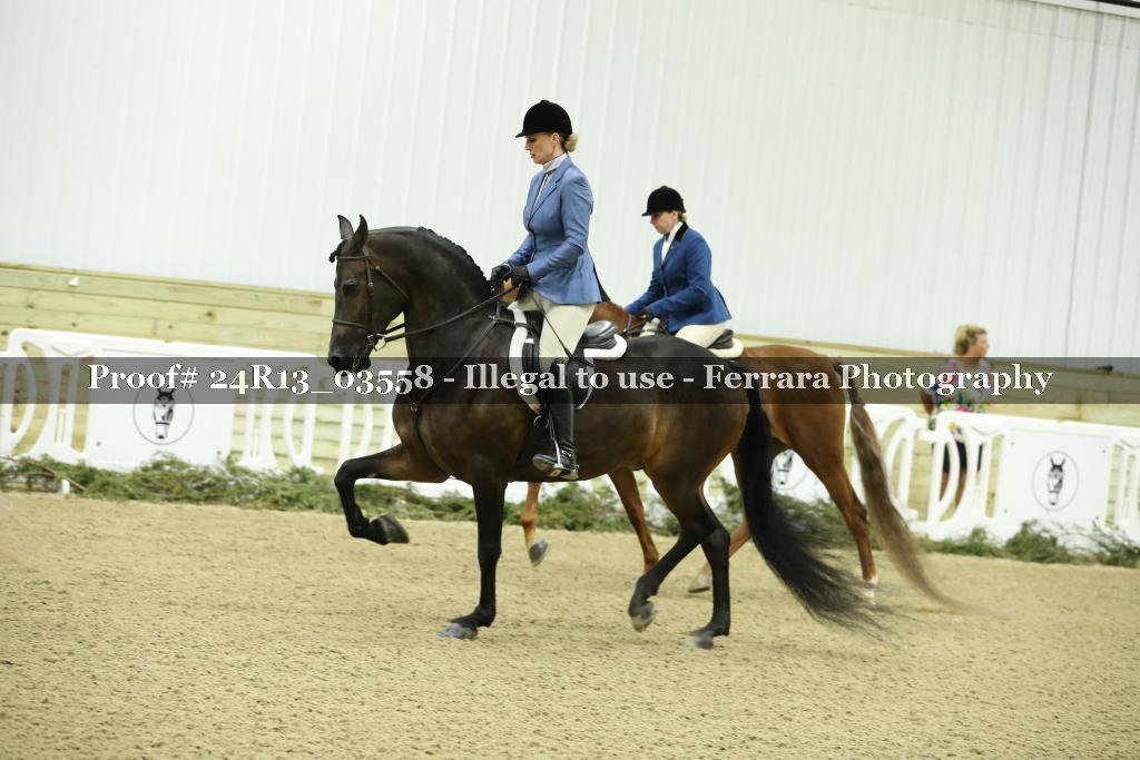 Proof 24R13_03558