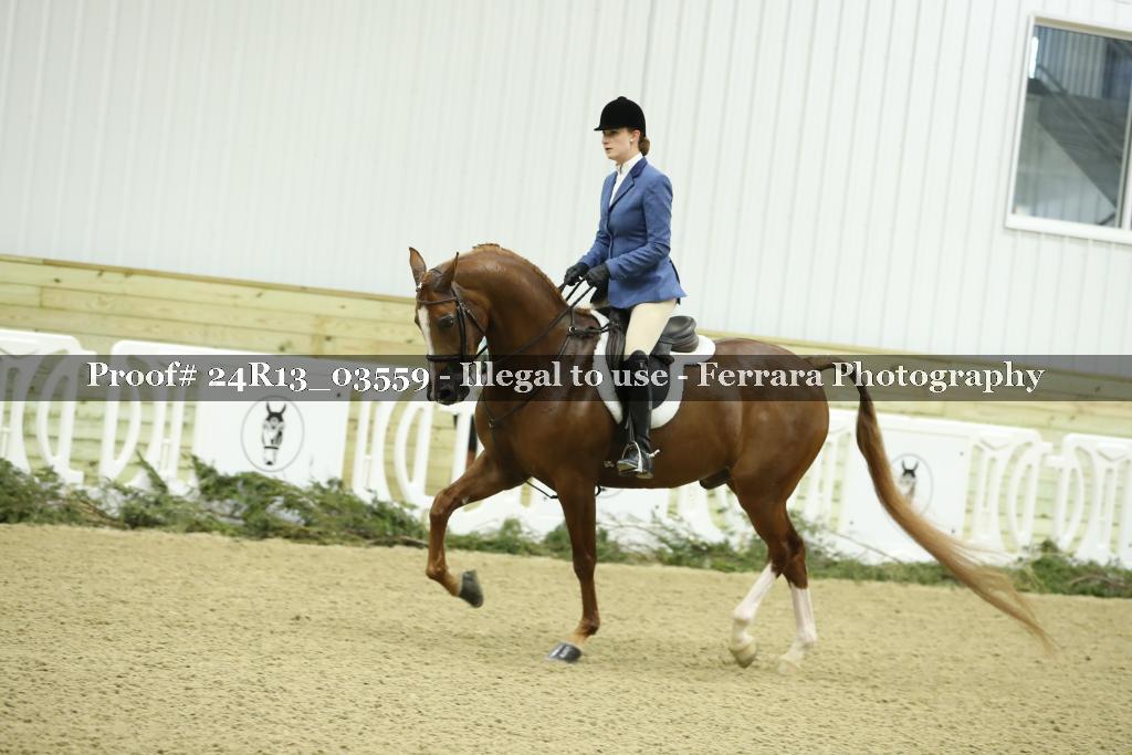 Proof 24R13_03559