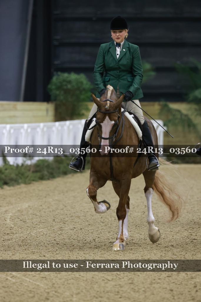 Proof 24R13_03560
