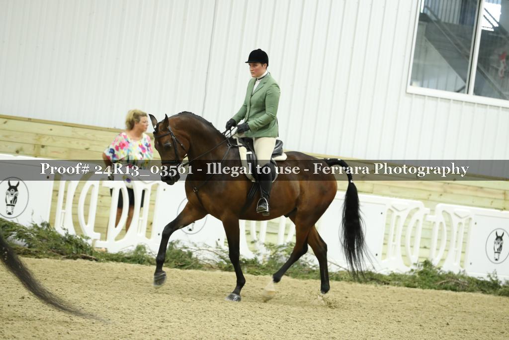 Proof 24R13_03561