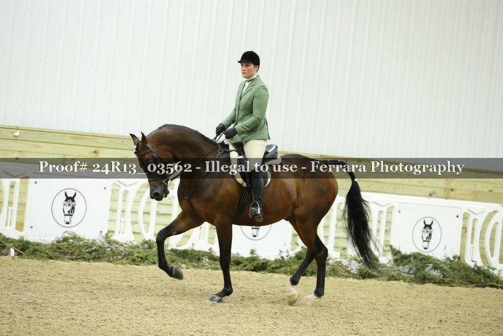 Proof 24R13_03562