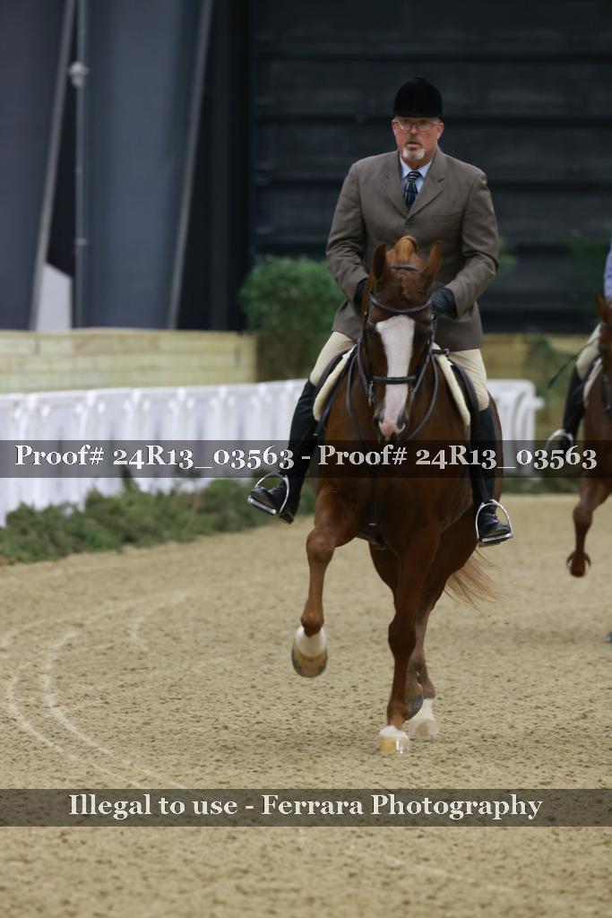 Proof 24R13_03563