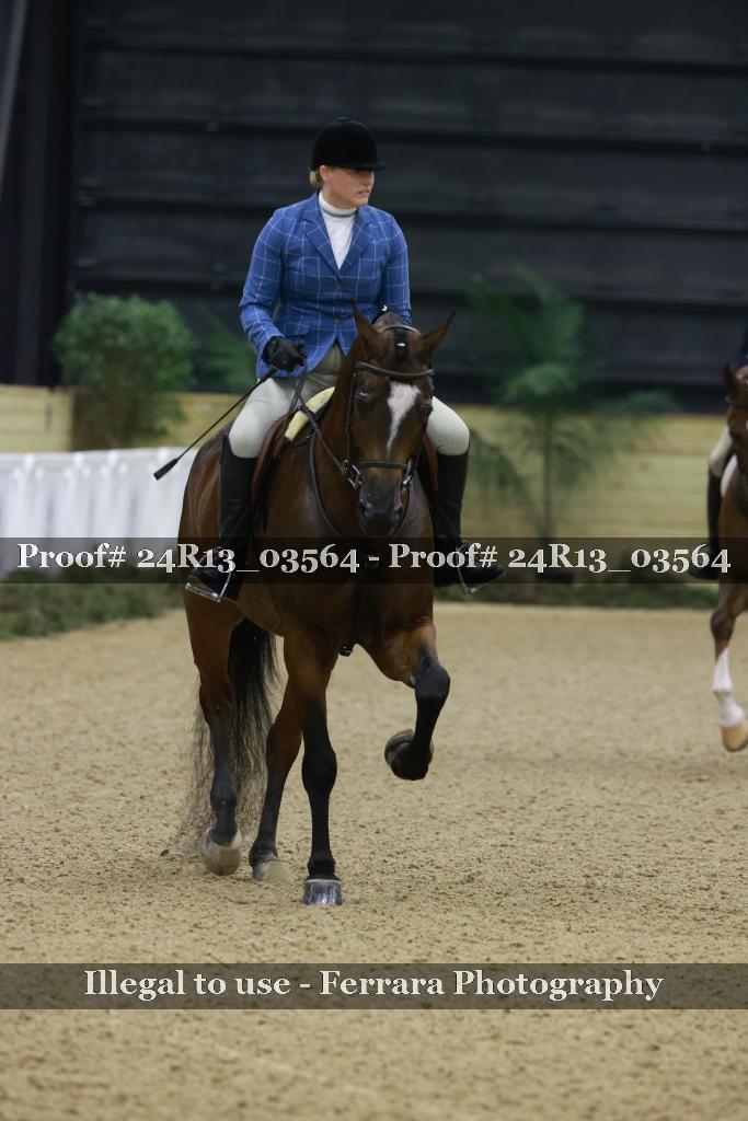 Proof 24R13_03564
