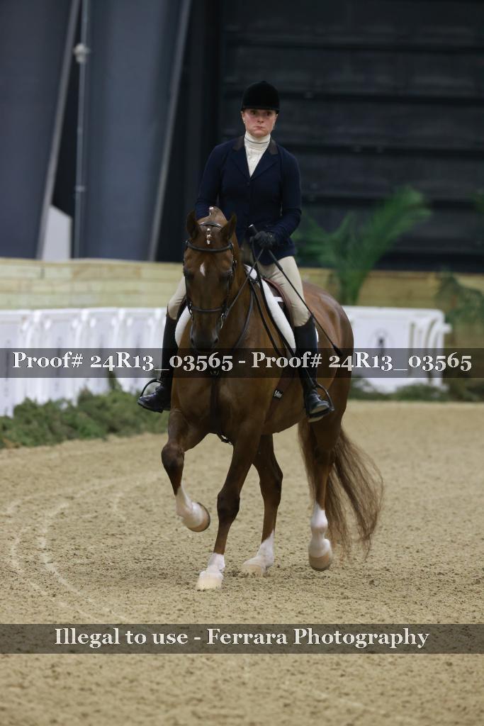 Proof 24R13_03565
