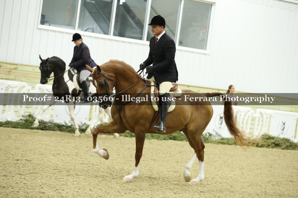 Proof 24R13_03566