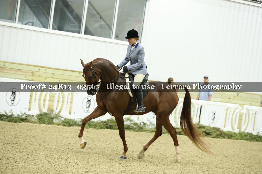 Proof 24R13_03567