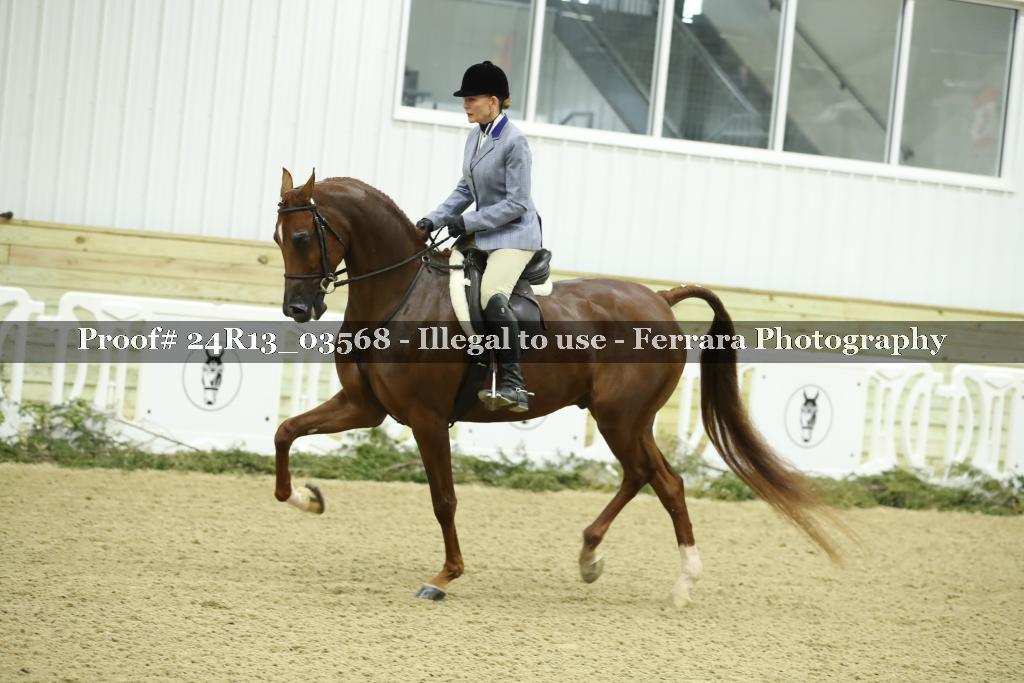 Proof 24R13_03568