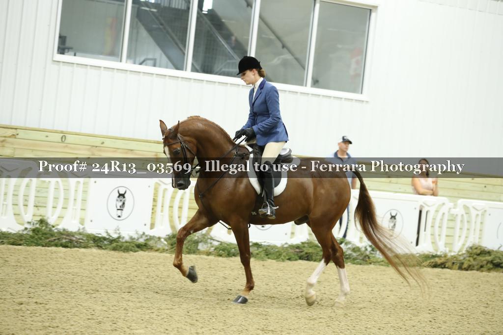Proof 24R13_03569
