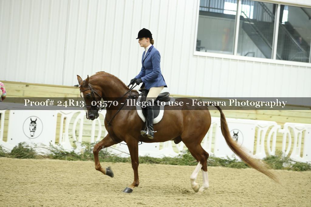 Proof 24R13_03570