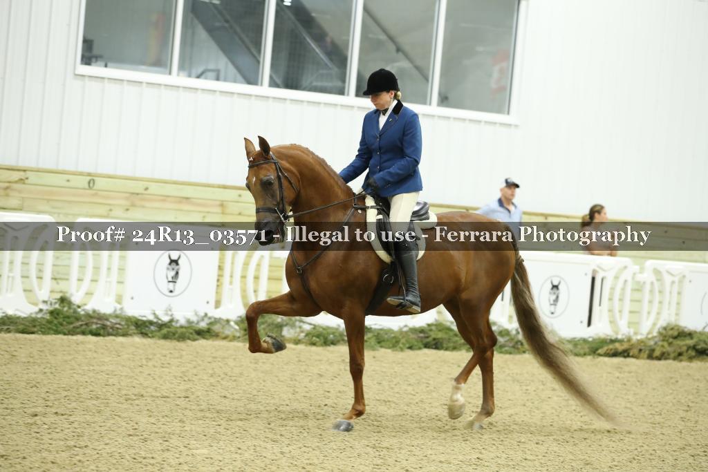 Proof 24R13_03571