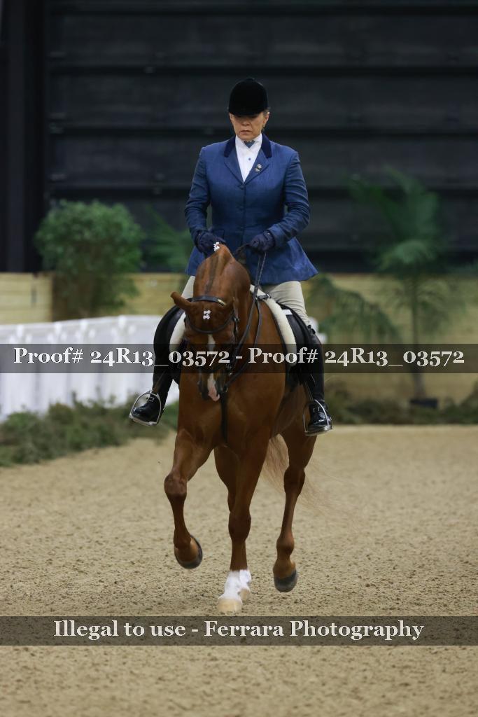 Proof 24R13_03572