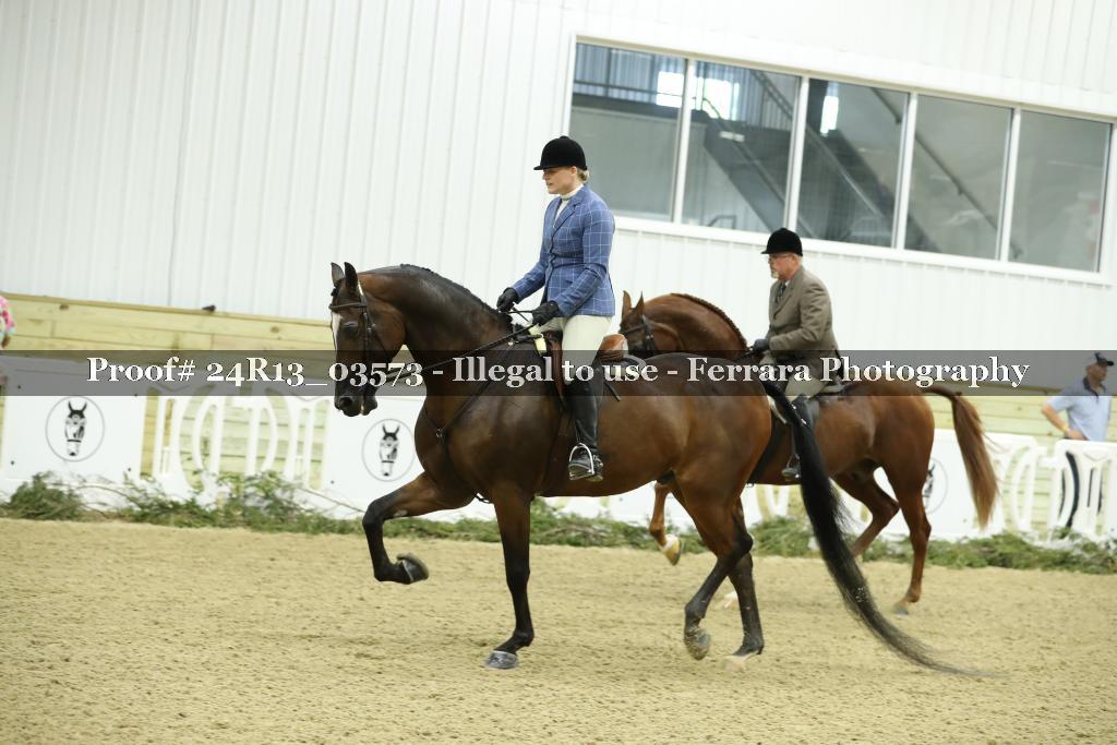 Proof 24R13_03573