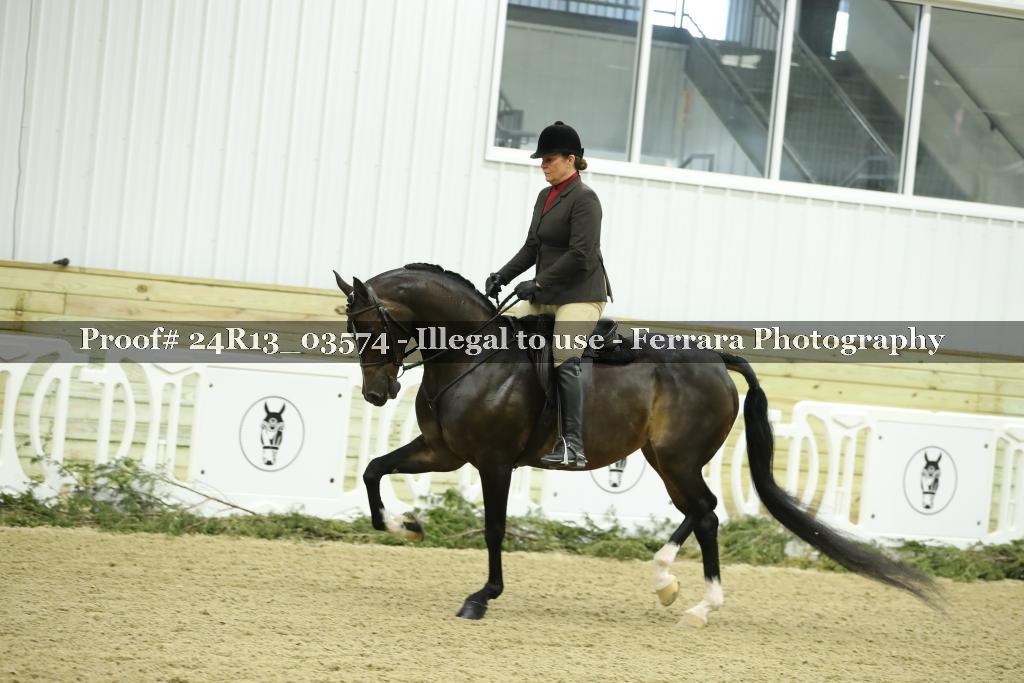 Proof 24R13_03574