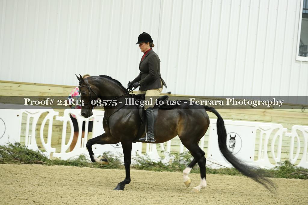Proof 24R13_03575