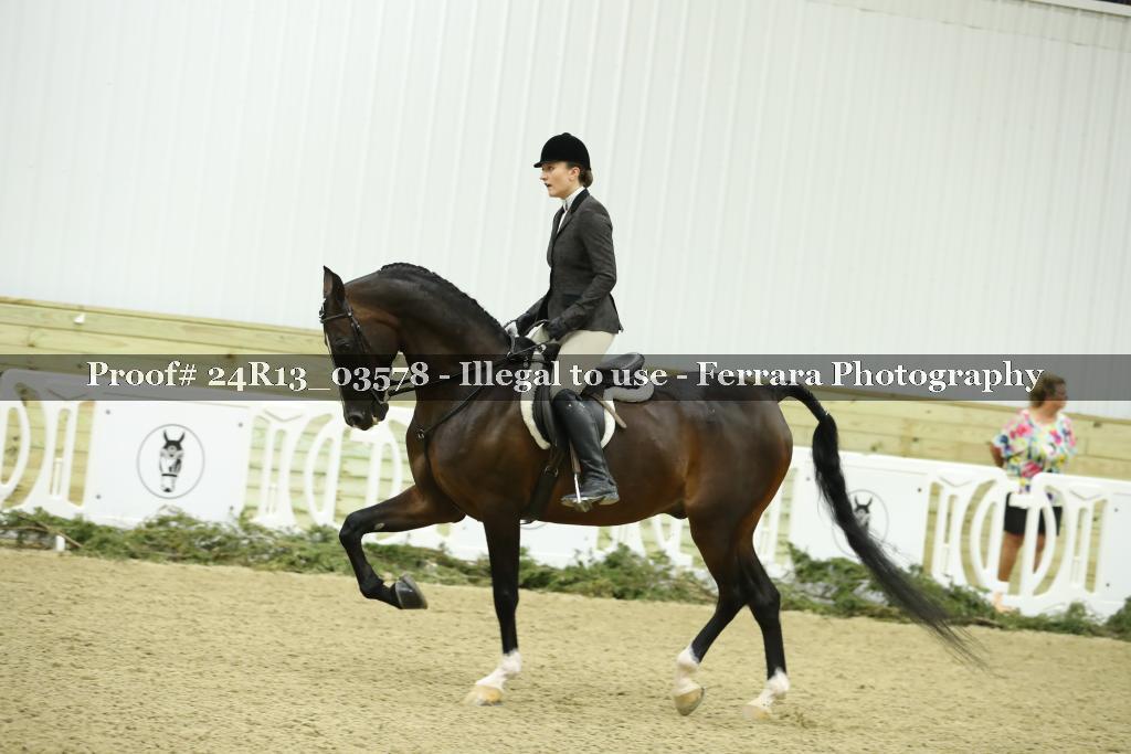 Proof 24R13_03578