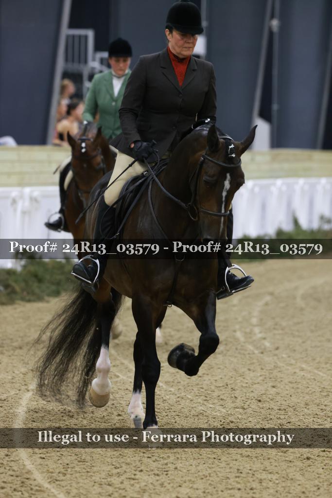 Proof 24R13_03579