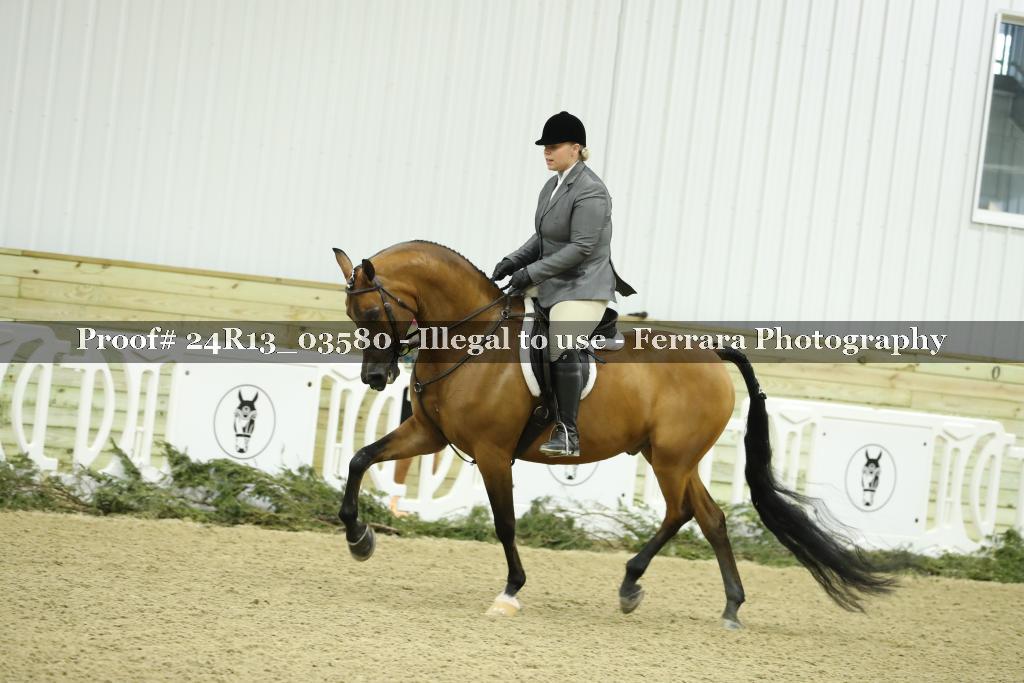 Proof 24R13_03580