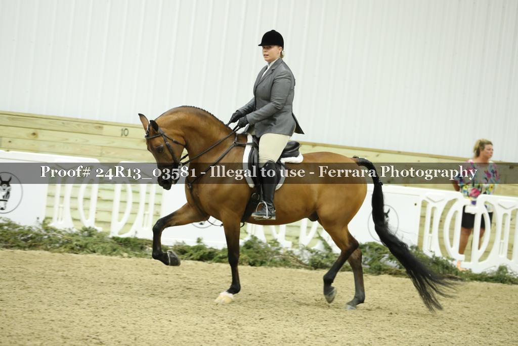 Proof 24R13_03581