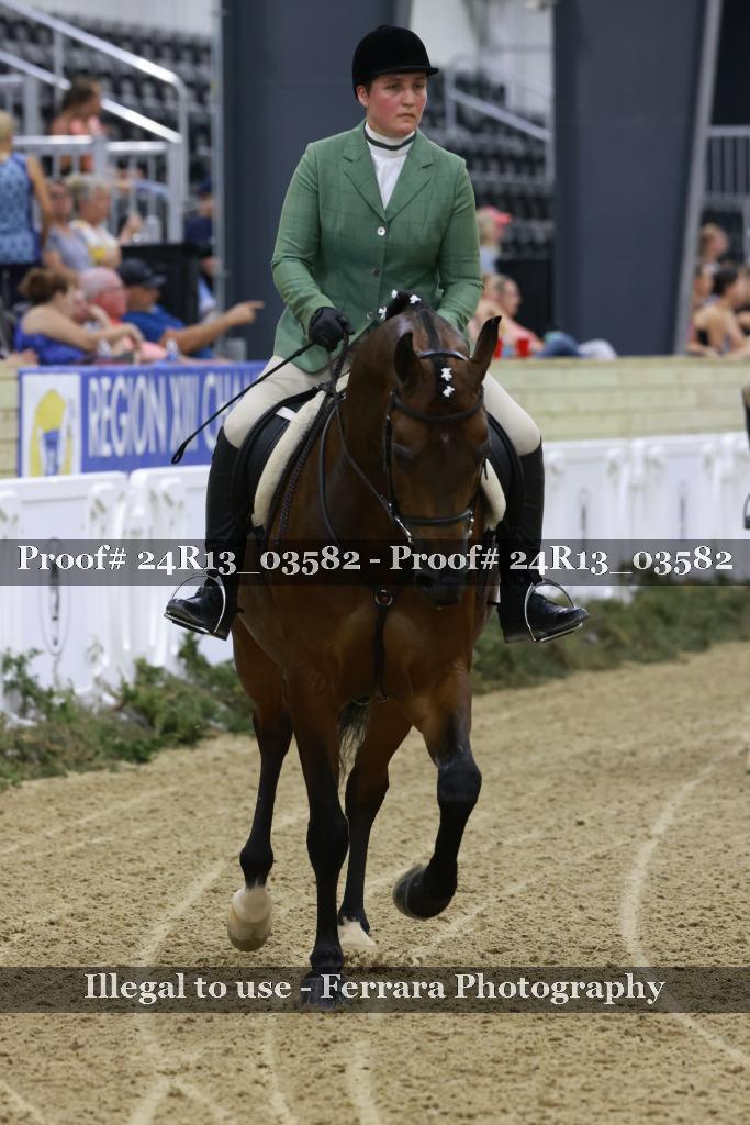 Proof 24R13_03582