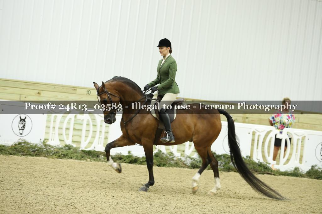 Proof 24R13_03583