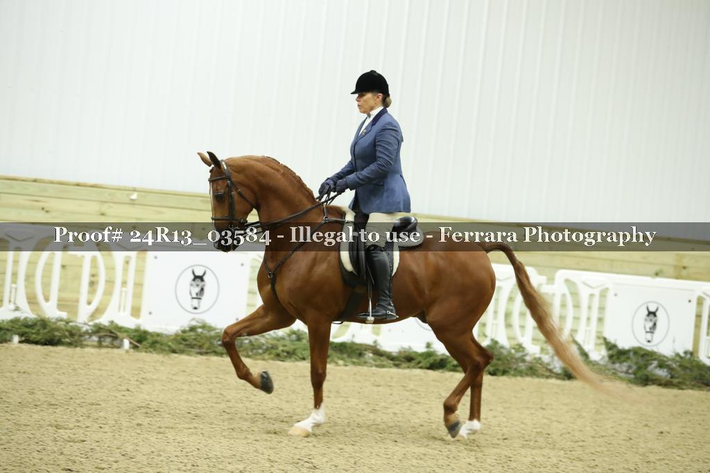 Proof 24R13_03584